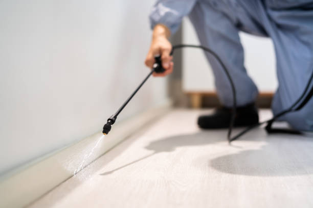 Licensed Fumigation Services service in Lawrence County County, SD - Nex Pest Control